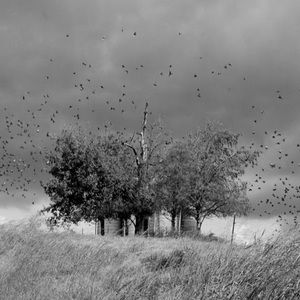 Meet your Posher, Zhixuan